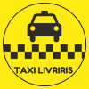 Chauffeur / chauffeuse de taxi