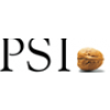 PSI Energy Markets GmbH