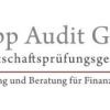 Praktikant / Werkstudent Wirtschaftsprüfung Financial Services (m / w / d)