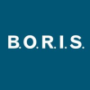 B.O.R.I.S. Baubetreuung GmbH