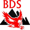 BDS