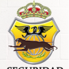 CONTROLVIG SEGURIDAD-logo