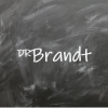 Dr. Brandt Recruiting GmbH