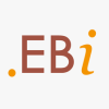 EBI - Entwicklung- und Bildungsinitiative e.V.