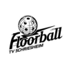 Floorball Schriesheim