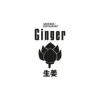 Ginger GmbH-logo
