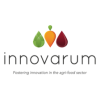 Experienced Innovation Consultant