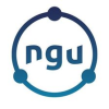 NGU Business / Repaircenter