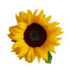 Pflegeassistent / -In (m / w / d)