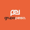 PRODUCTOS ELÉCTRICOS INDUSTRIALES, S.A. - GRUPO PEISA-logo
