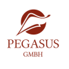 Pegasus GmbH Gesellschaft für soziale/gesundheitliche Innovation