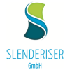 SAP Entwickler (m / w / d)