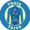 Physiotherapeut / in bei Thera-Torso 30-40%