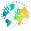 Triskel Consulting-logo