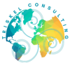 Triskel consulting