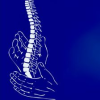 Physiotherapeut / in Gesucht