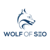 WOLF OF SEO FZ LLC