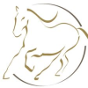 White Horse International GmbH-logo