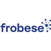 frobese GmbH Informatikservices-logo