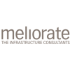 Senior Berater / Consultant (m / w / d)