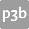 p3b AG-logo