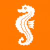 E-Commerce Allrounder (m / w / d)