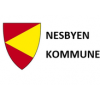 Nesbyen kommune