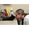 All About Cats Veterinary Hospital