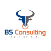 B&S Consulting srl