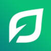 Senior Accountant