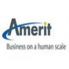 Amerit Consulting