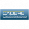 CALIBRE Systems