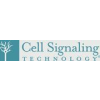 Cell Signaling Technology