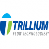 TRILLIUM FLOW TECHNOLOGIES FRANCE