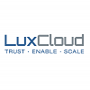 Java Web Software Developer