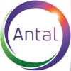 Antal International Network - IME-logo