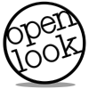 Open Look Business Solutions Inc