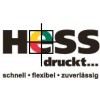 Hess Druck AG-logo