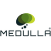 Medulla LLC