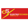 DS Elektrotechnik GmbH & Co. KG