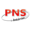 PNS INTERIM-logo