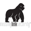 Missing Link Security-logo