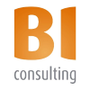 BI consulting