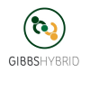 GIBBS HYBRID (IRELAND) LIMITED