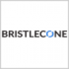 Bristlecone India Limited-logo