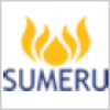 Sumeru Global Technologies Private Limited-logo
