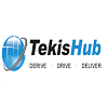 Tekishub Consulting Services Private Limited-logo