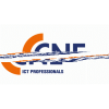 CNE ICT Professionals-logo