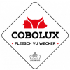COBOLUX PRODUCTION SA