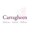 CARRAGEEN ARTISTRY PTE. LTD.